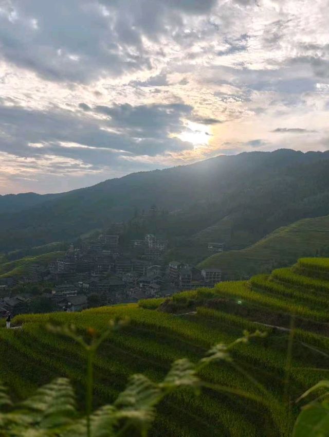 🌾 Longji Rice Terraces: A Living Masterpiece in the Mountains 🌄