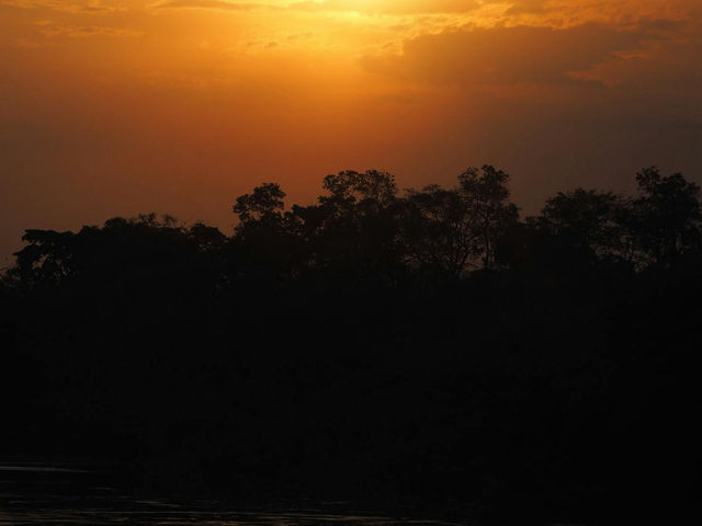 🌍 Uganda – The Pearl of Africa ❤️  One of the most unforgettable trips of my life was my journey to Uganda. The vast waters of Lake Victoria, the lush beauty of rainforests, and the chance to witness 🌍 Uganda – The Pearl of Africa ❤️  One of the most unforgettable trips of my life was my journey to Uganda. The vast waters of Lake Victoria, the lush beauty of rainforests, and the chance to witness