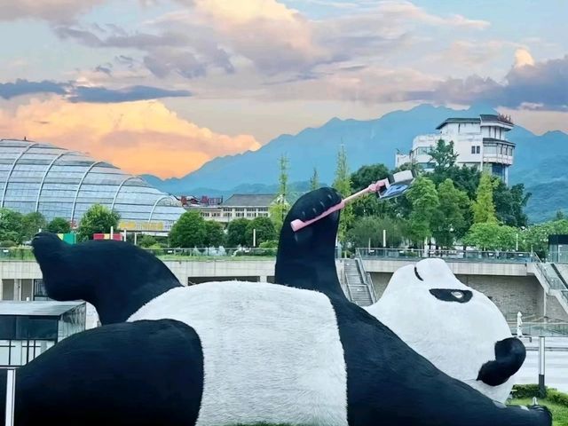 Explore the Panda capital of the world 🐼❤️ Explore the Panda capital of the world 🐼❤️