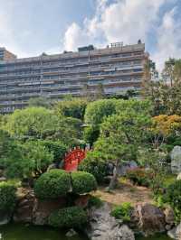 What to Do in Monte Carlo on Halloween: A Spooky Guide