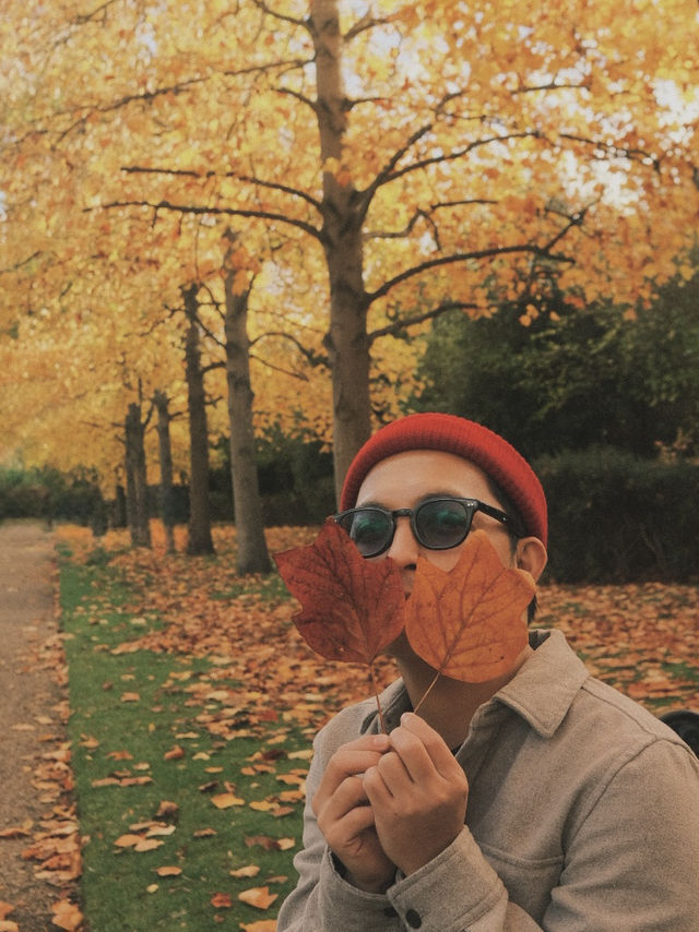 Fall age season in London Fall age season in London