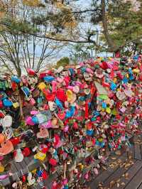 Seoul Vibes: Where Tradition Meets Trend 🇰🇷 