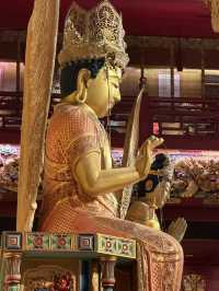 Free Singapore Stopover Program✨