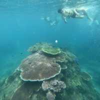 ๐ฒ๐พ Malaysia ๐๏ธ Redang Island Magic Escape ๐