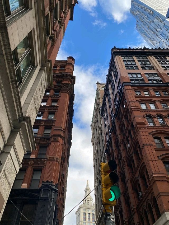 Urban Vibes NYC 🌆