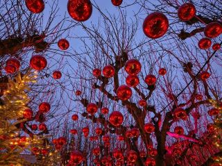 リンツのクリスマスマーケットが有名な理由