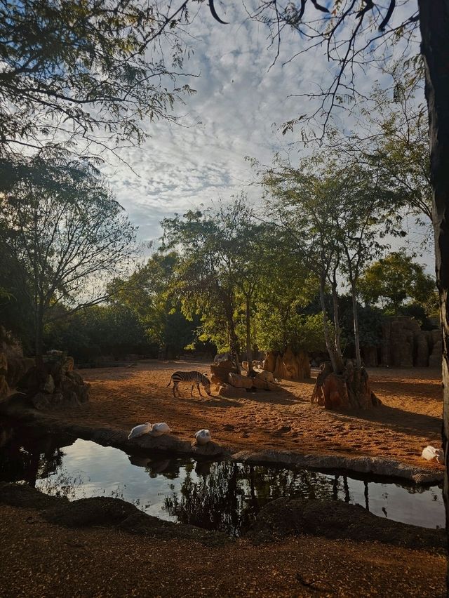 Exploring Bioparc Valencia: A Perfect Visit in Winter and Beyond