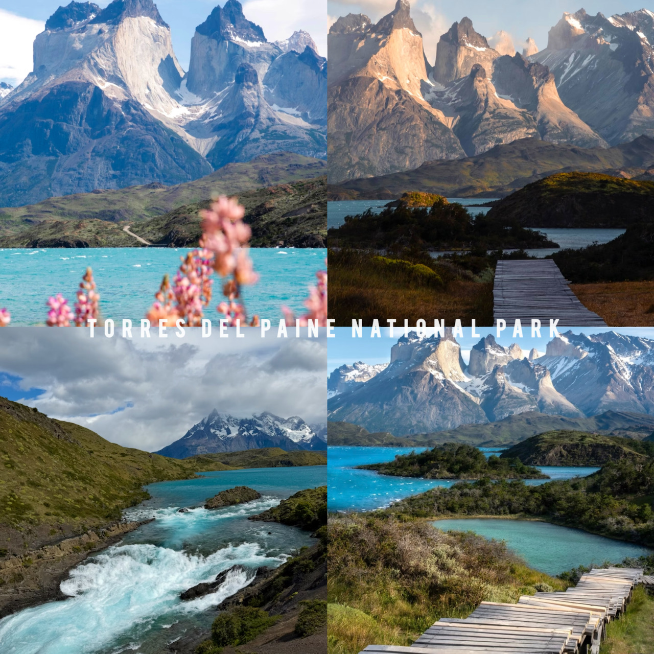Patagonia in Spring: Travel Guide to Scenic Landscapes & Best Places to Visit