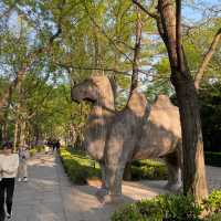 Ming Tomb 