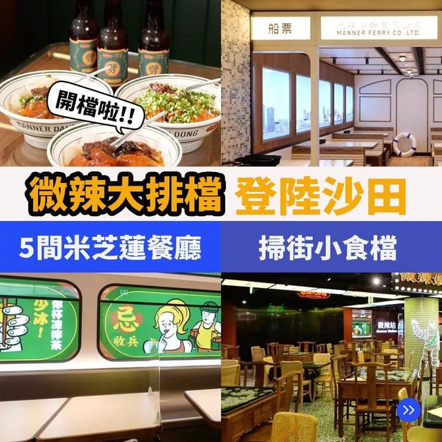 沙田微辣大排檔🍜