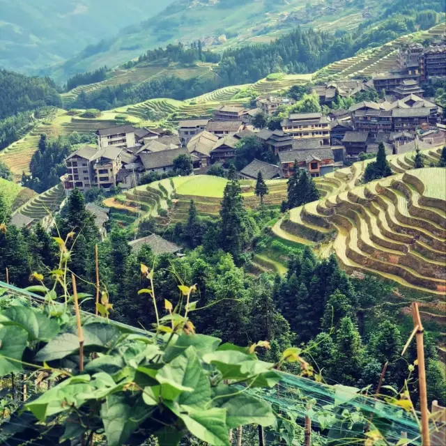 Guilin’s Majestic Rice Terraces