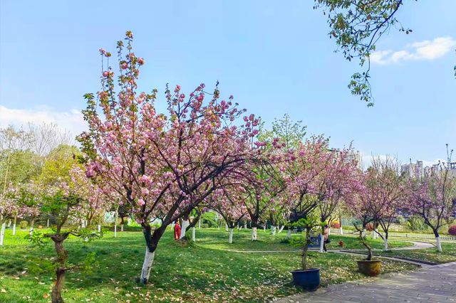 Sichuan Deyang Stone Carving Park