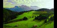 Alpine scenery in all four seasons.