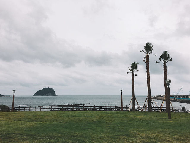 遊濟州🇰🇷西歸浦市海濱藝術公園