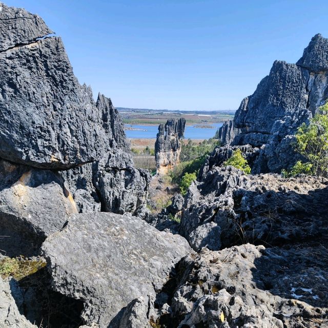 The Stone Forest | Kunming 