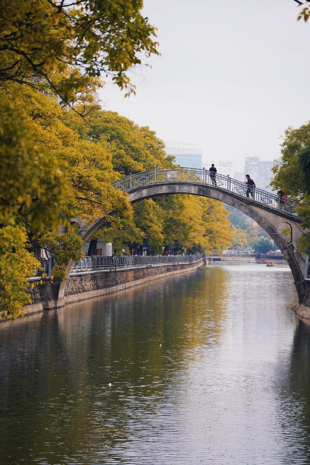 昆明周邊｜大觀河畔的秋景