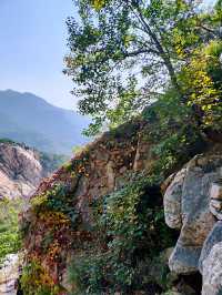羅山，你的美內斂，聰穎