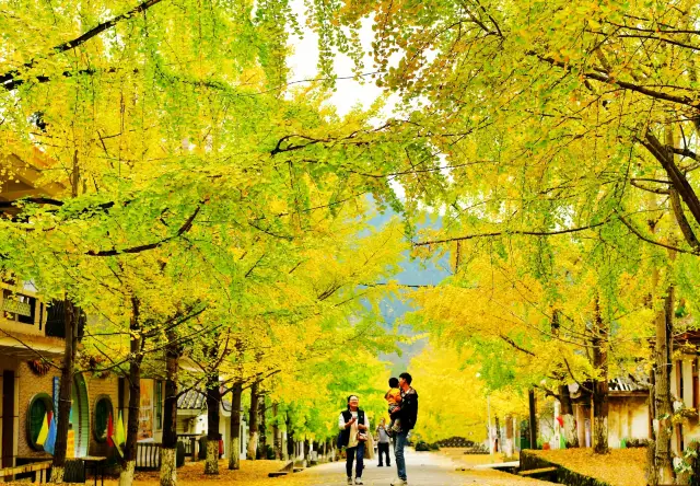 11月下旬自駕到南雄帽子峰森林公園景區