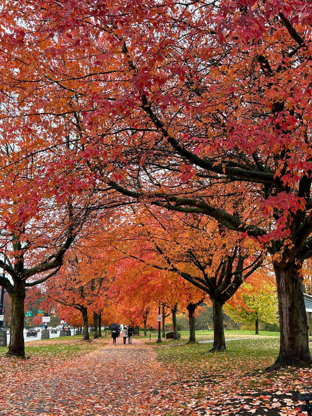 溫哥華史丹利公園攻略，教你玩出不一樣的風景