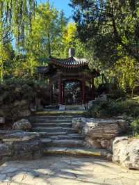 中山公園秋日正當遊，來今雨軒早茶