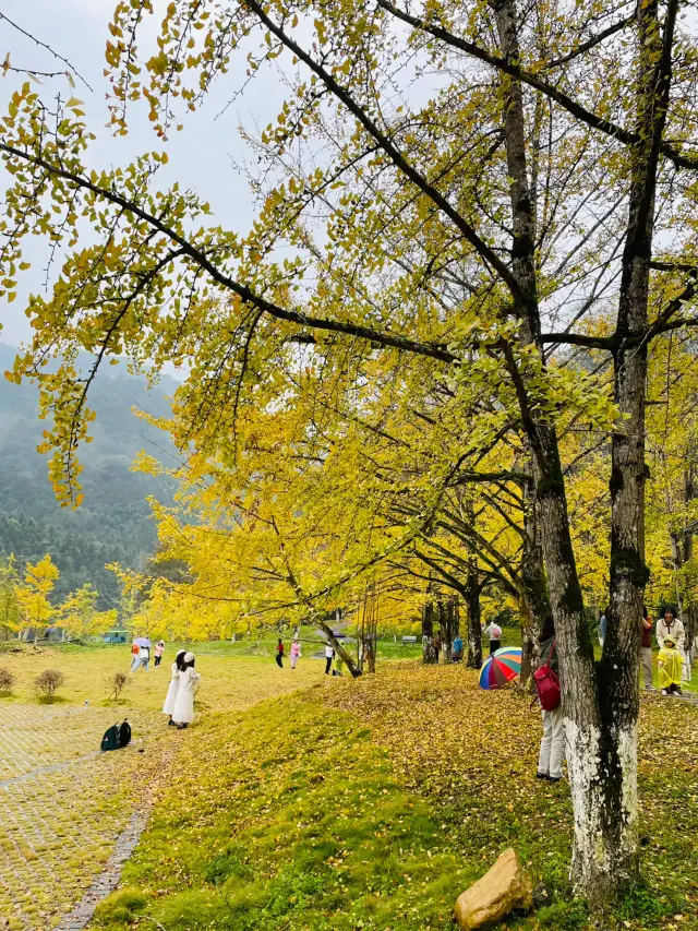 The Hat Peak Scenic Area in the rain