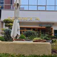 Warm Culinary Haven at Mama Kelly