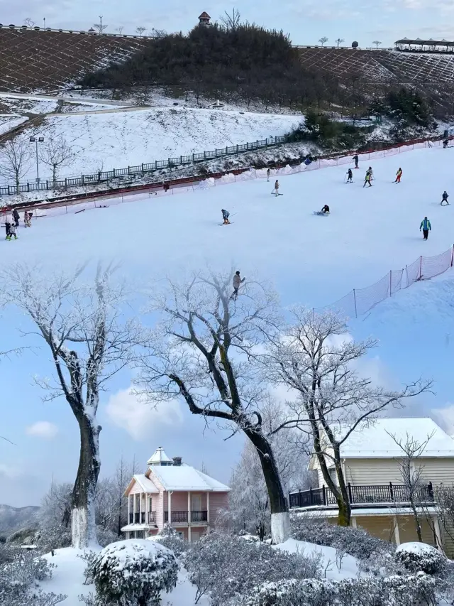 在冰雪中聽風呼嘯而過，來一場雪上的速度與激情……