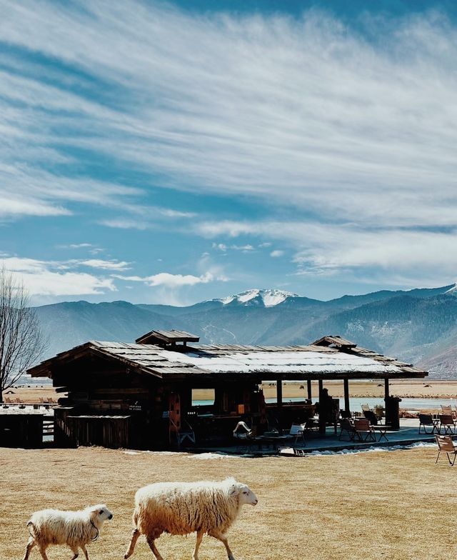 在山川角落，短暂放流