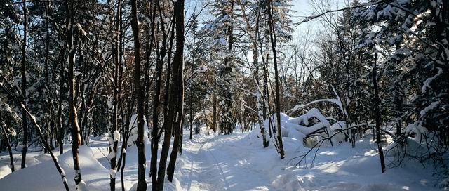 長白山雪嶺｜探索長白山雪嶺的冰雪秘境！