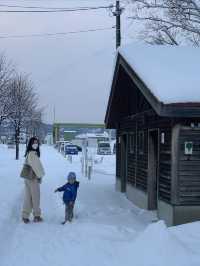 富良野的雪