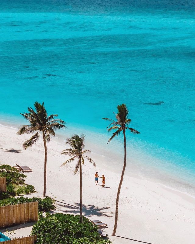 Discover Paradise on Earth at Avani Fares Maldives 🌴