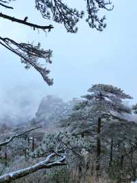 雪後天柱山宛若寫意山水畫！雪天攻略來啦！