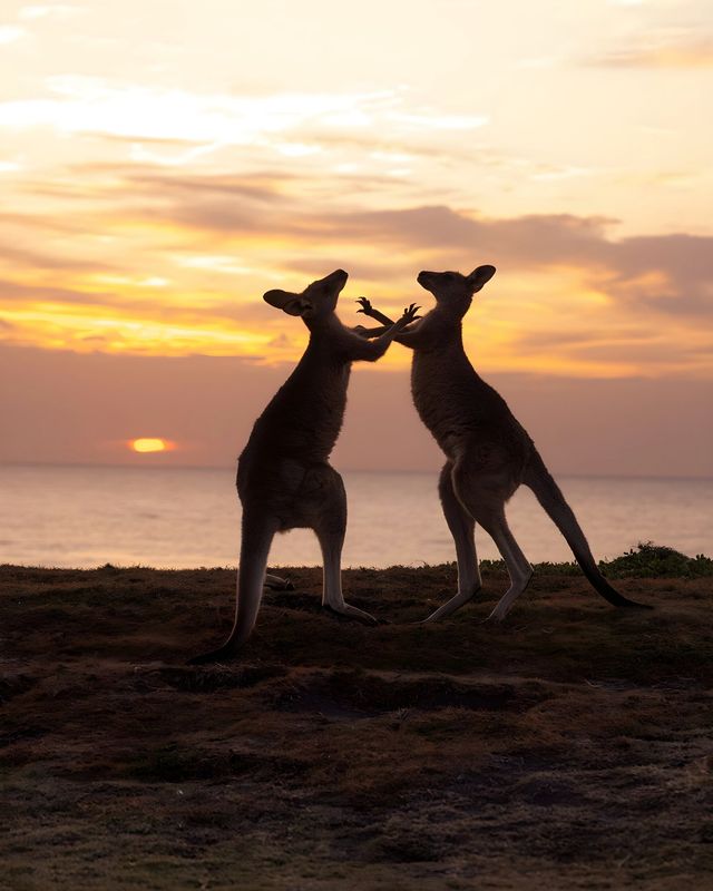 澳洲旅遊一篇講清楚第一次去的姐妹請收好
