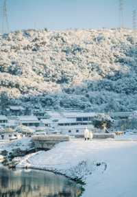 這不是北海道這是2024年的溫州！