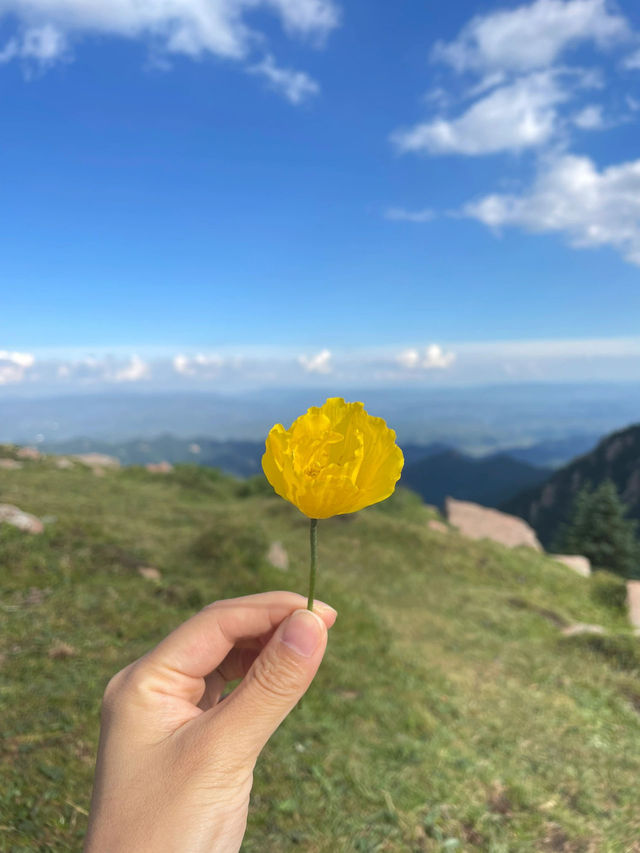 忻州蘆芽山｜馬侖草原