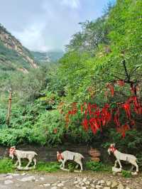 河北景點推薦丨雞鳴山