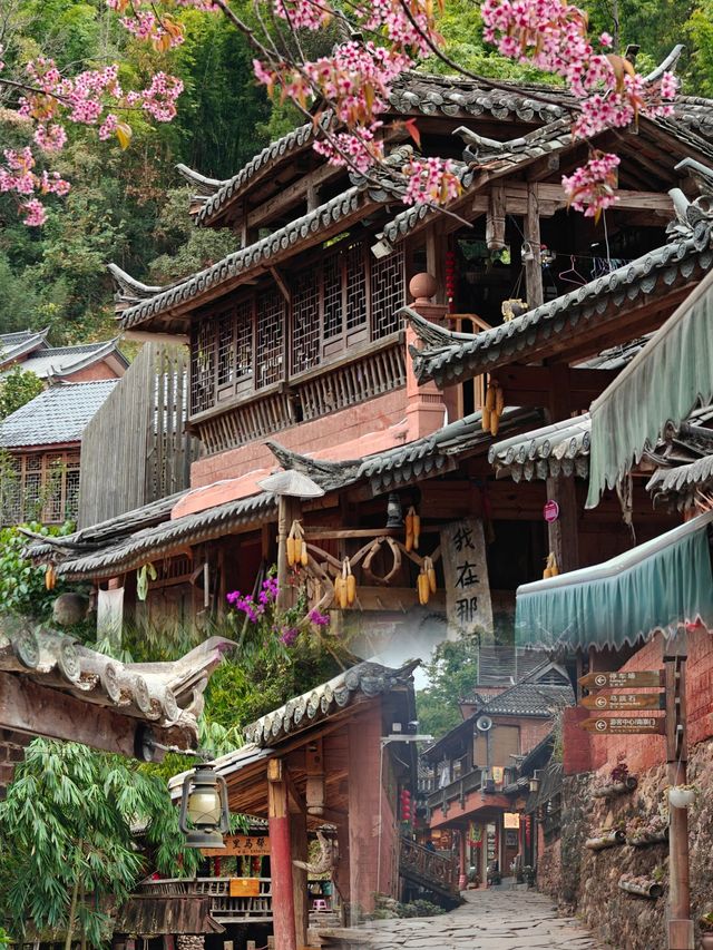 普洱那柯里被低估的茶馬古道! 普洱那柯里被低估的茶馬古道!