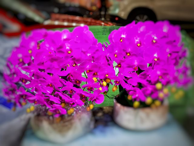 父子香港citywalk(一)
