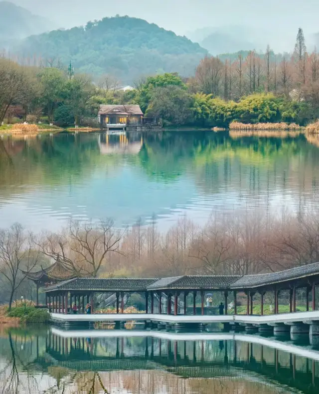 I walked 20,000 steps around the West Lake in the rain and mist, and my favorite place is the Bathing Goose Bay to the west of the West Lake