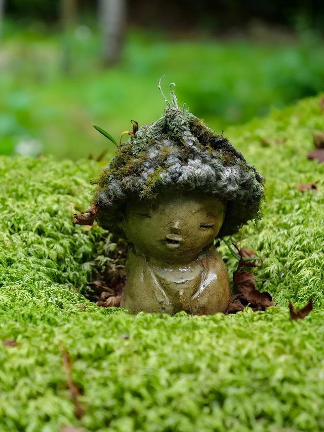 京都可愛可愛！櫻花超值得打卡地在這！