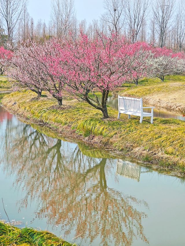 雖然遠，但值得來一趟