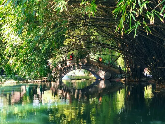 【Chengdu Spring Scenery·Tanghu Park Mystery】Enjoy the begonia feast, tour the classical garden