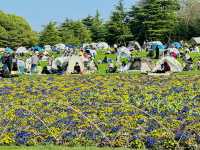 春日暖陽下的世紀公園