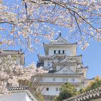 Magical Himeji castle