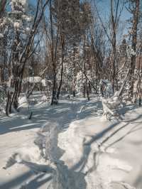 雪地徒步｜老里克湖滿足了我對冰雪童話幻想