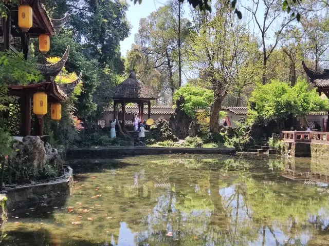 Come to Yanhua Pond to enjoy the flowers!