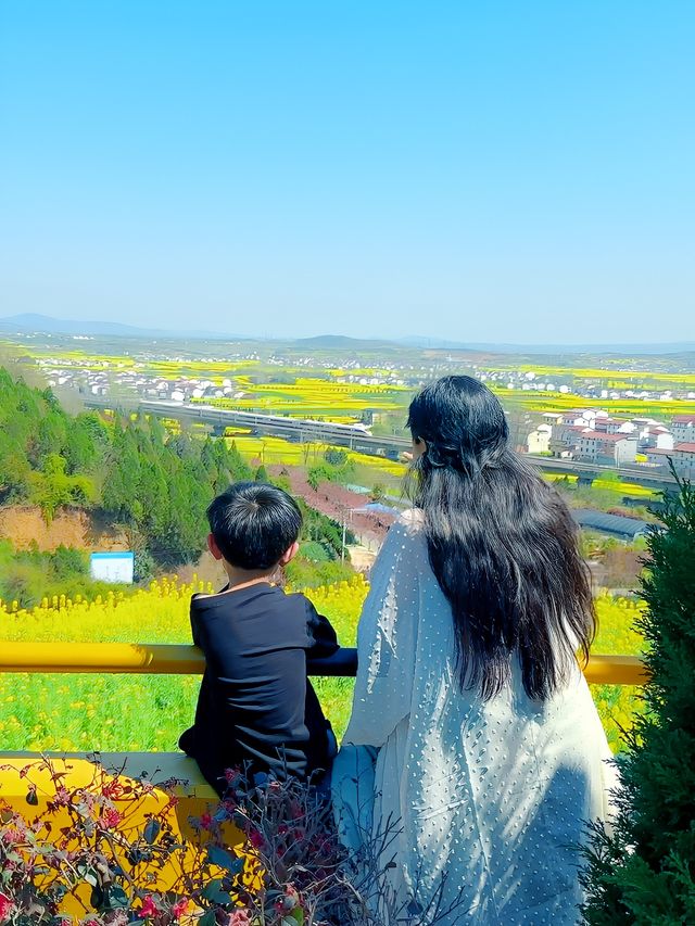 親子一日遊|誰還沒有去洋縣看油菜花海