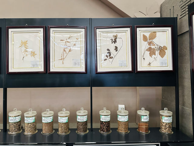 昆嵛山森林文化博物館