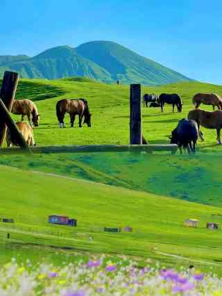 2026 紅原—若爾蓋大草原詳細攻略推薦| 3月| Trip Moments