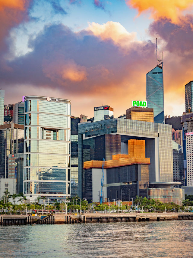 鍾情這片土地｜香港日與夜